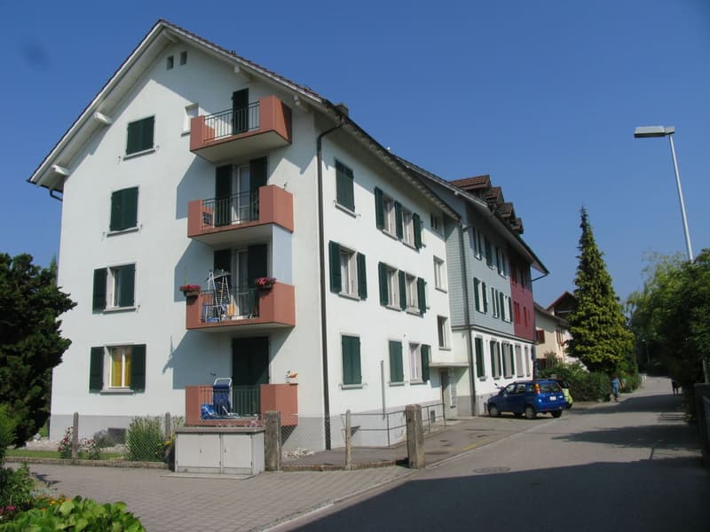 Appartements "Härzigi" de 2 pièces confortables à Oberburg (5)