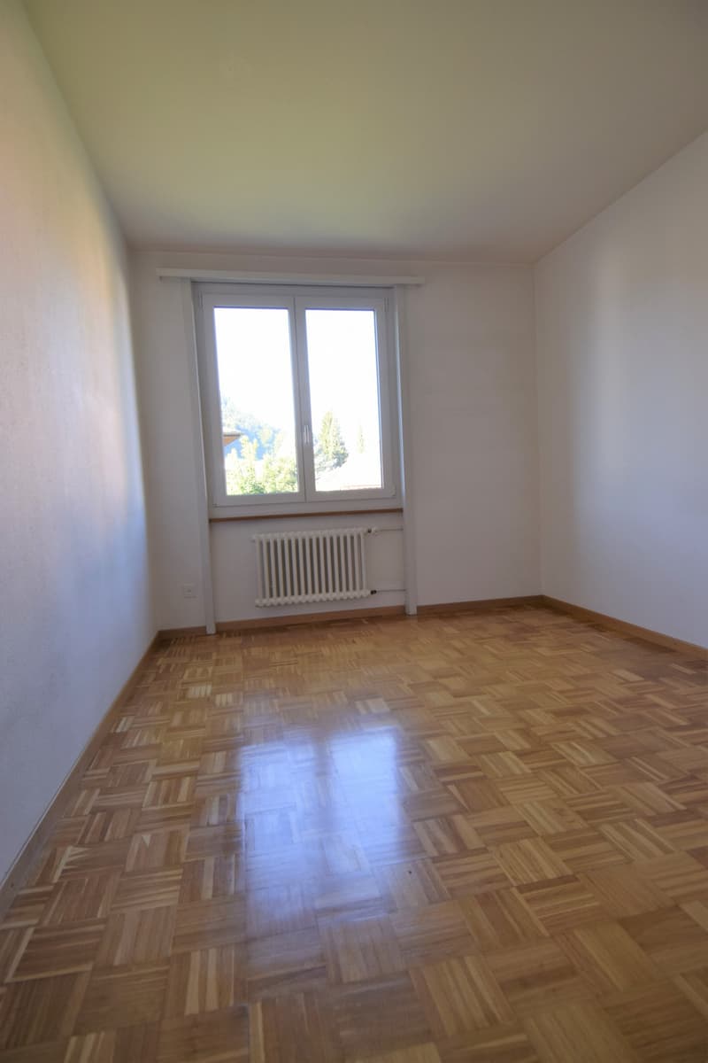 Appartements "Härzigi" de 2 pièces confortables à Oberburg (4)