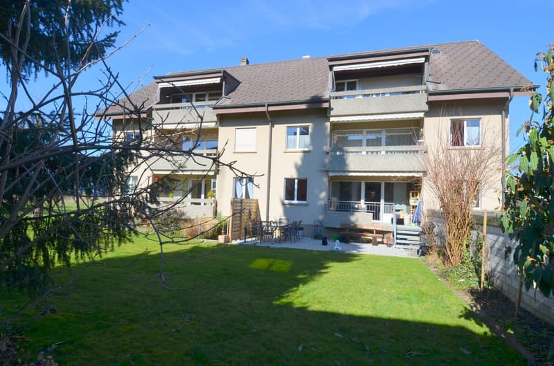 Freshly renovated 3.5-room apartment in a quiet and central location in Ersigen for rent (3)