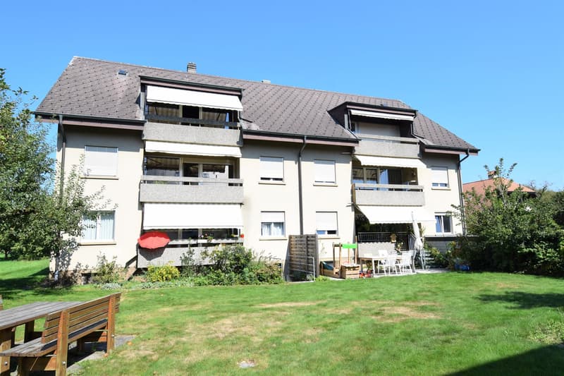 Freshly renovated 3.5-room apartment in a quiet and central location in Ersigen for rent (1)