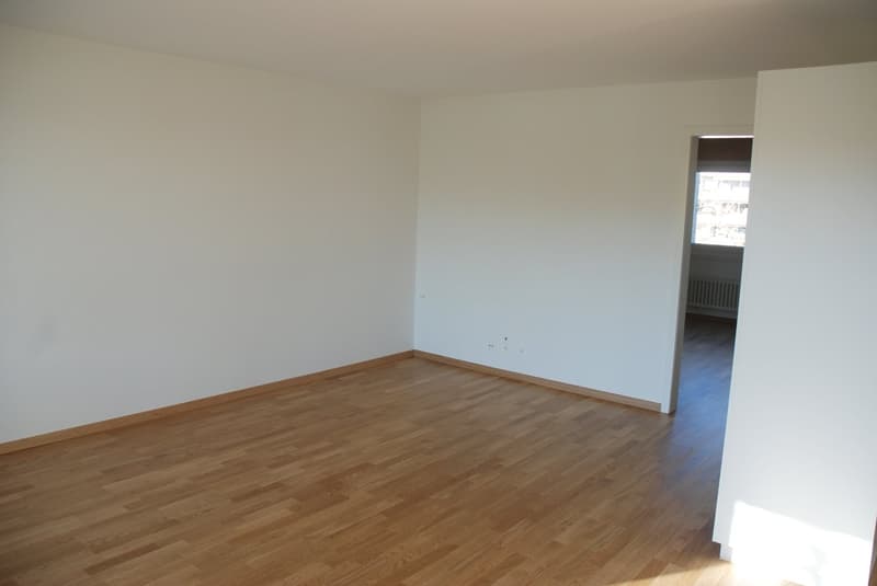 Bello appartamento di 2,5 locali vicino alla città di Berna (4)
