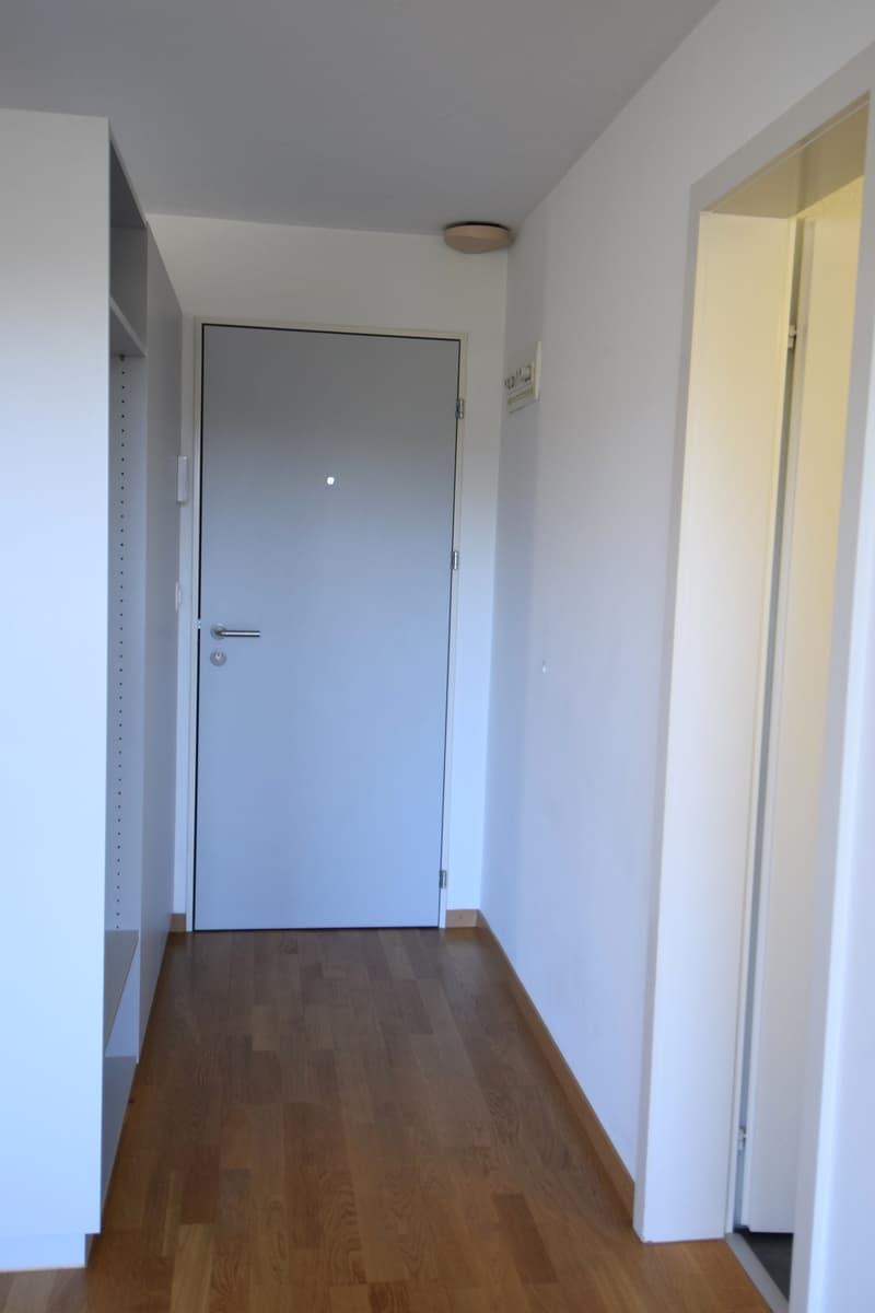 Bello appartamento di 2,5 locali vicino alla città di Berna (7)