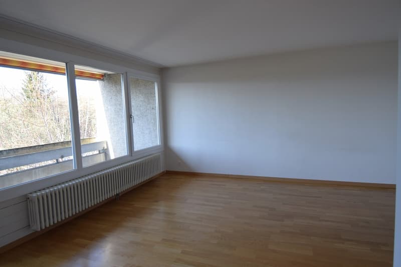 Bello appartamento di 2,5 locali vicino alla città di Berna (5)