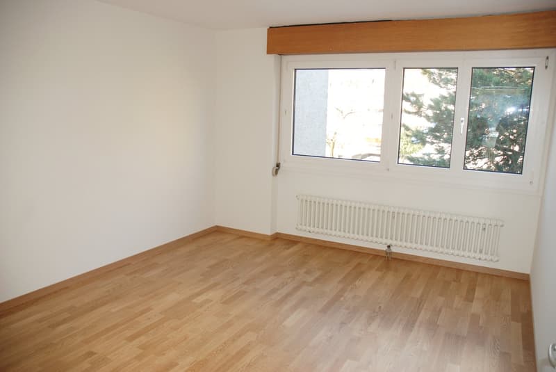 Bello appartamento di 2,5 locali vicino alla città di Berna (6)