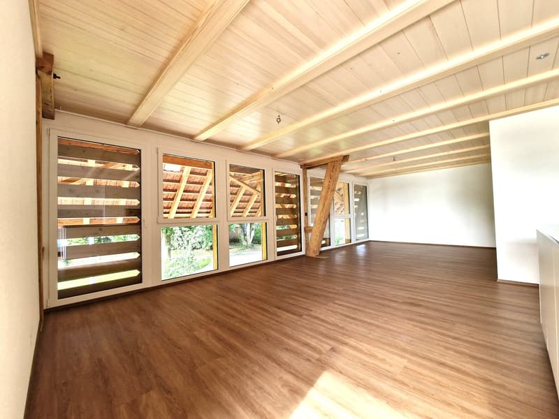 Wunderschöne und grosse 4½ - Zimmer Wohnung im 1. Stock in Höchstetten (6)