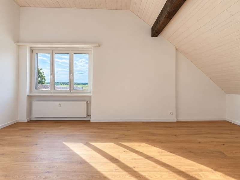 Frisch renovierte 3.5 Zimmer Wohnung an ruhiger und zentraler Lage in Ersigen zu vermieten (2)