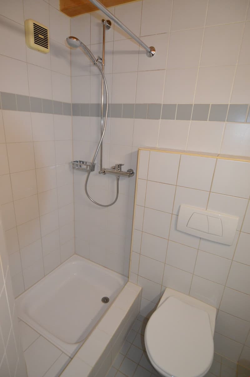 Herzige Dachwohnung mit interessantem Grundriss ... (8)