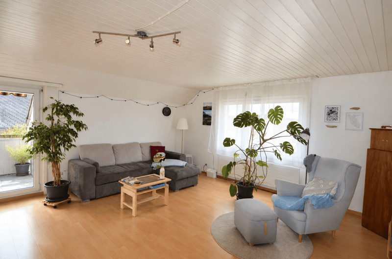 Preiswerte Dachwohnung mit Terrasse (4)