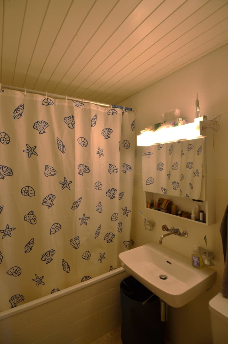 Preiswerte Dachwohnung mit Terrasse (8)