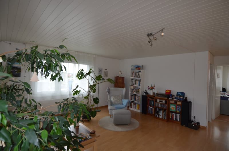 Preiswerte Dachwohnung mit Terrasse (5)