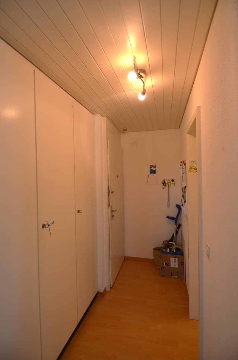 Preiswerte Dachwohnung mit Terrasse (9)