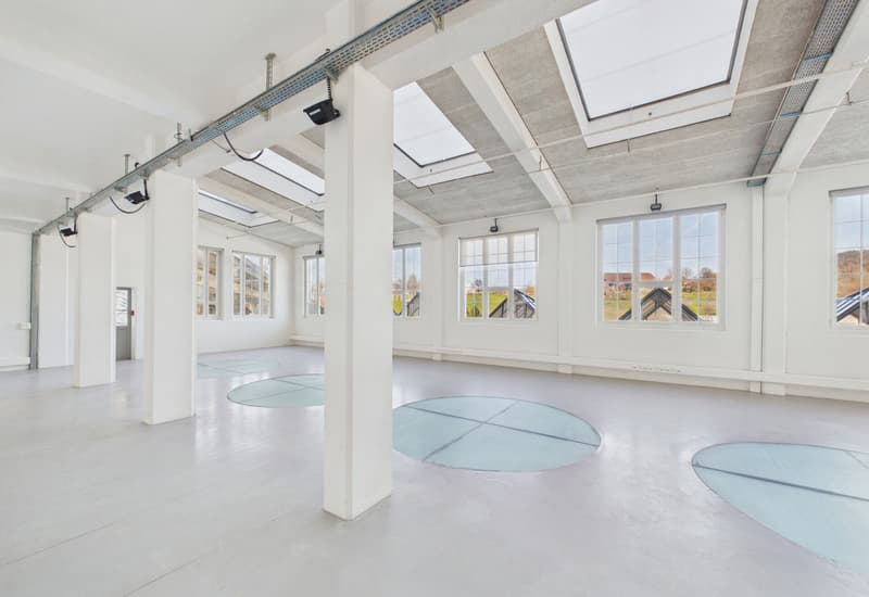 Loft-/Atelierraum