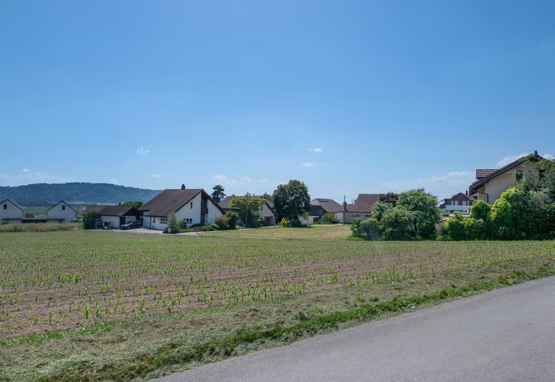 Zufahrt Land