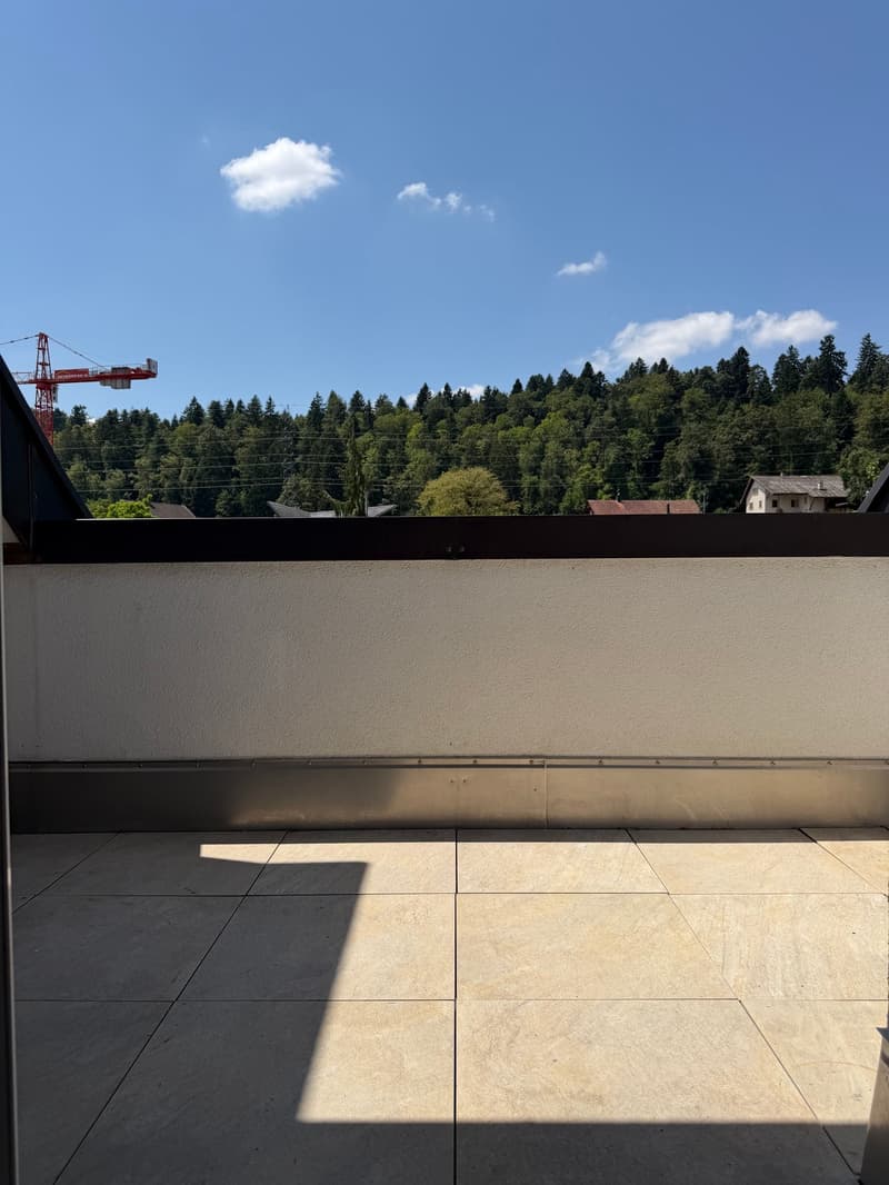 Charming 3.5-room attic apartment with fireplace and balcony (3)