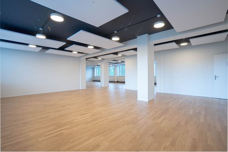 Spazio ufficio / commerciale in area commerciale e industriale molto frequentata a Dietlikon (8)