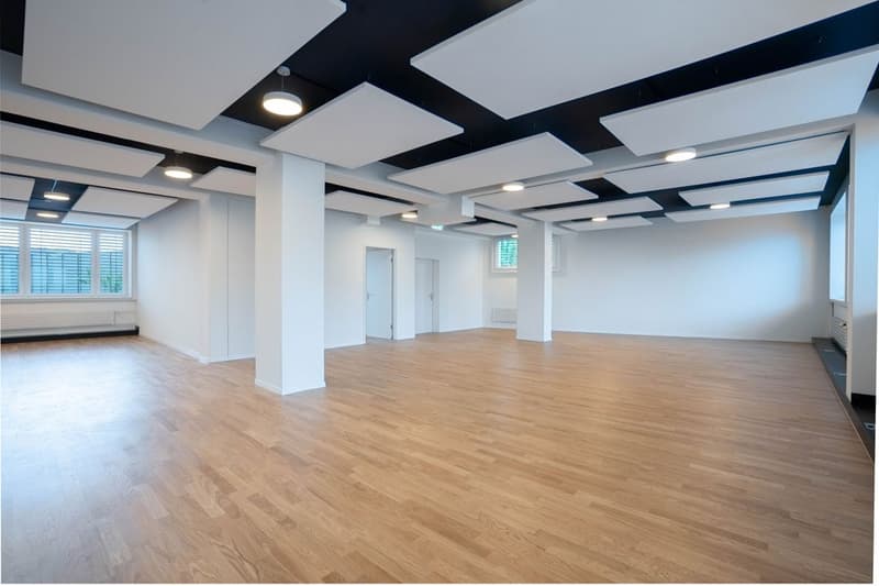 Spazio ufficio / commerciale in area commerciale e industriale molto frequentata a Dietlikon (7)
