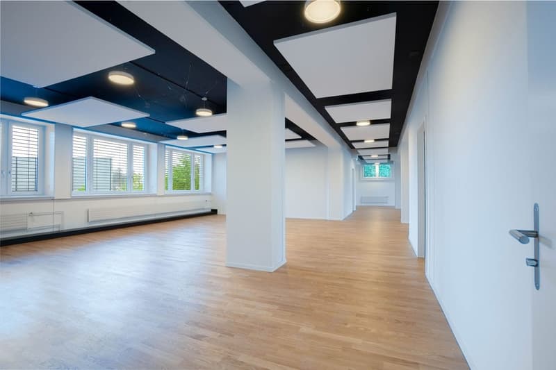 Spazio ufficio / commerciale in area commerciale e industriale molto frequentata a Dietlikon (6)