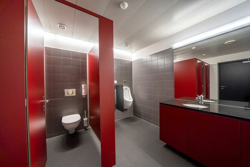 Large bathroom with grey and red tile walls, modern vanity with sink, and a toilet. The bathroom appears to be well-lit with recessed lighting in the ceiling.