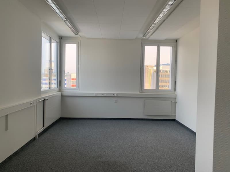 Empty room with white walls, two windows, a white radiator and grey carpeted floor