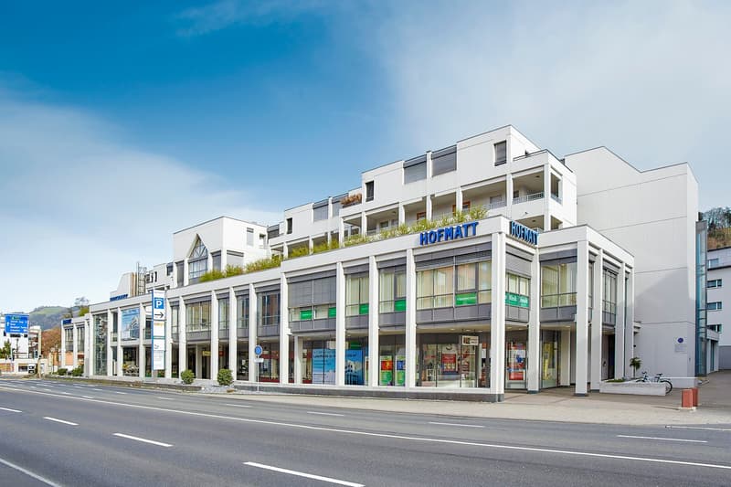 Ihre neue 2½- Zi-Wohnung im Zentrum von Ebikon (1)