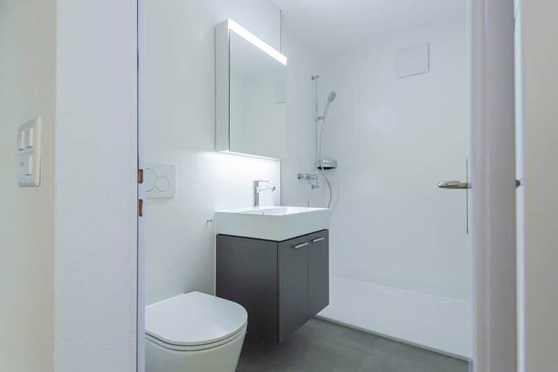 Ihre neue 2½- Zi-Wohnung im Zentrum von Ebikon (6)
