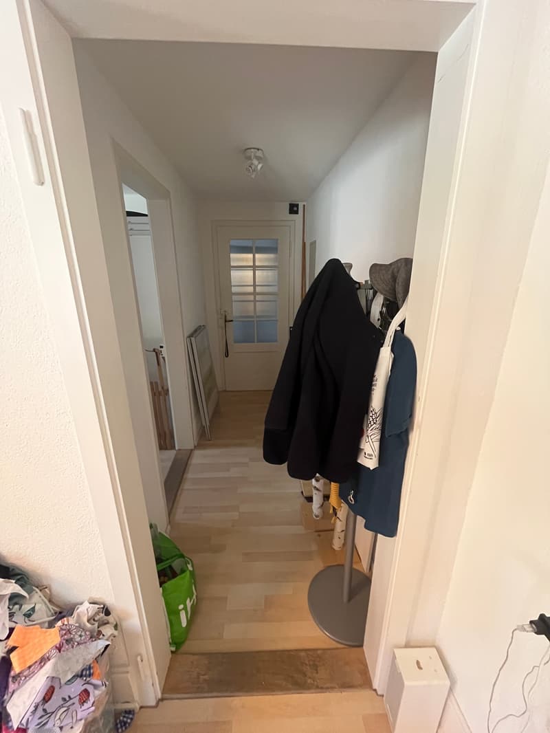 Empty hallway with wooden floor, white walls, clothes hanging on a rack, a green bag, and a white door.