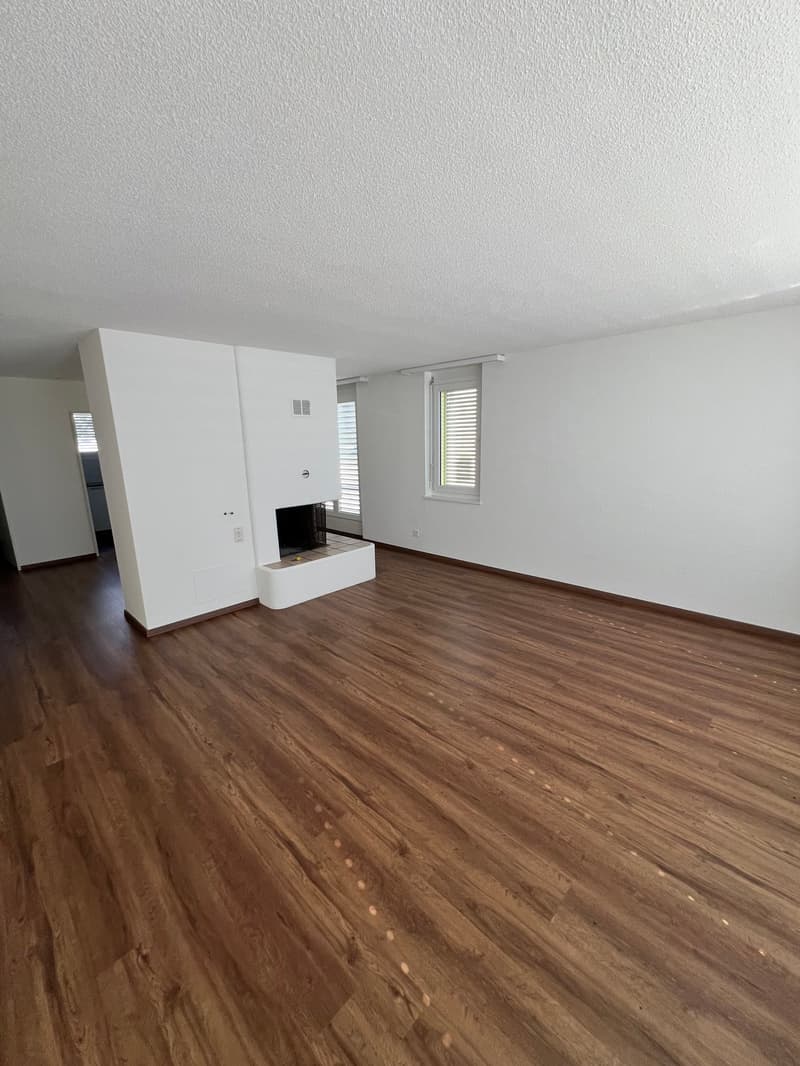 Grosszügige 4.5-Zimmer-Dachwohnung mit Riesenterrasse (2)