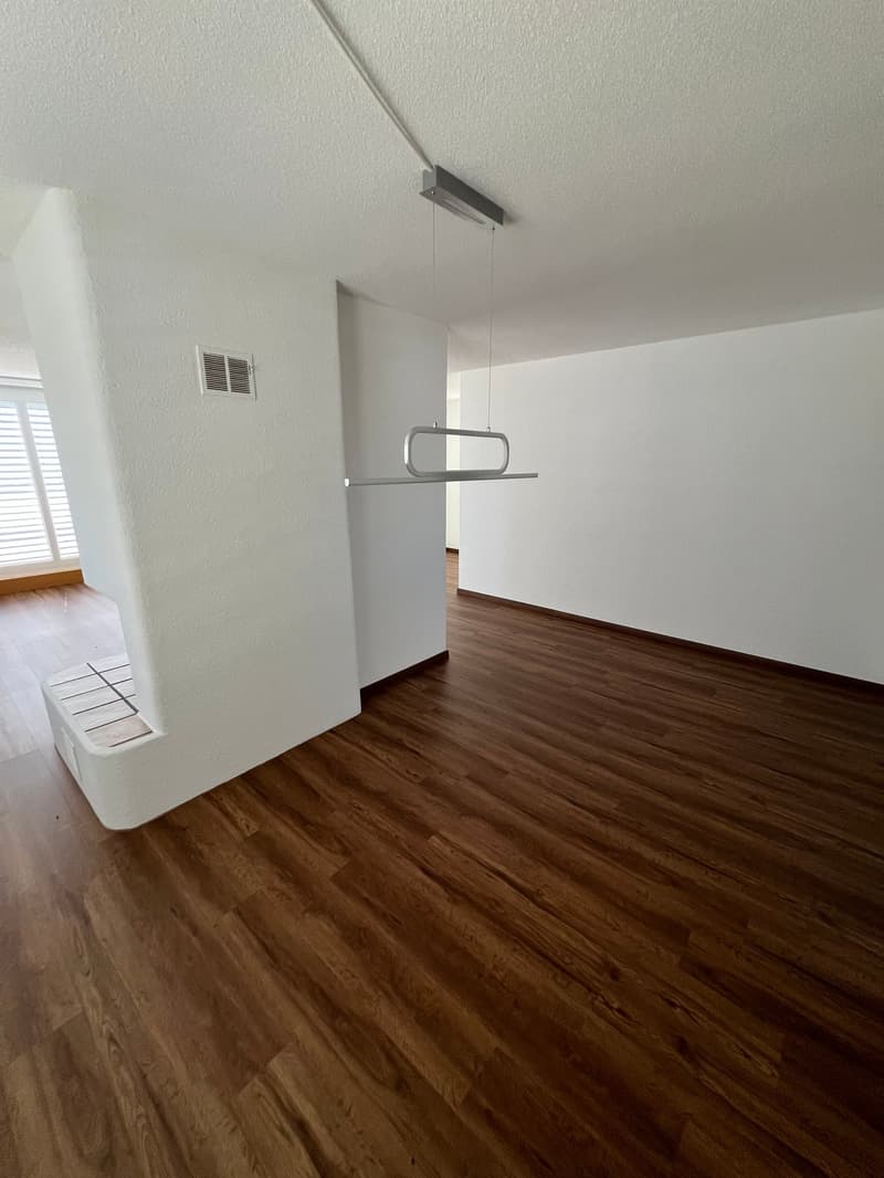 Grosszügige 4.5-Zimmer-Dachwohnung mit Riesenterrasse (4)