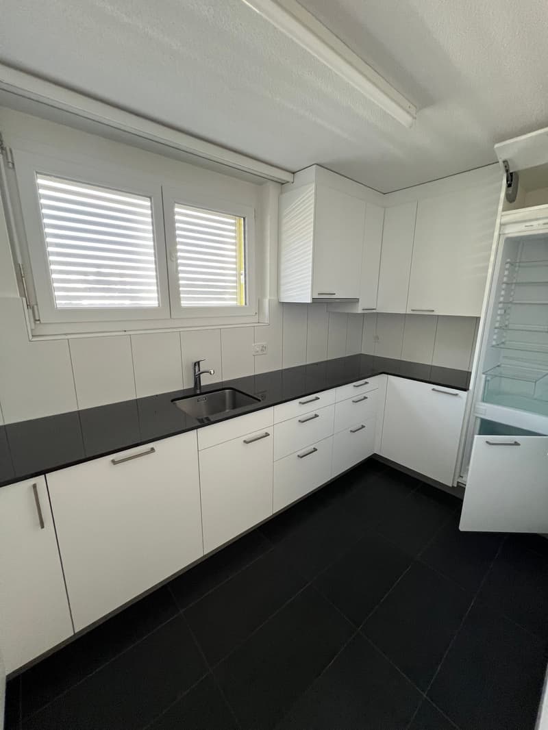 Grosszügige 4.5-Zimmer-Dachwohnung mit Riesenterrasse (5)
