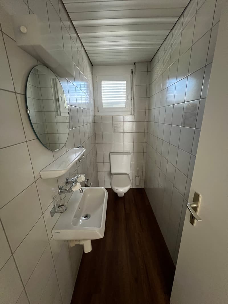 Grosszügige 4.5-Zimmer-Dachwohnung mit Riesenterrasse (7)