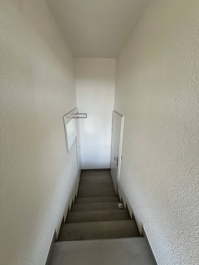 Grosszügige 4.5-Zimmer-Dachwohnung mit Riesenterrasse (9)