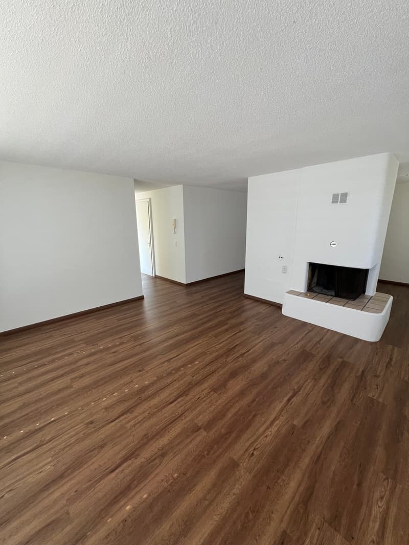 Grosszügige 4.5-Zimmer-Dachwohnung mit Riesenterrasse (3)