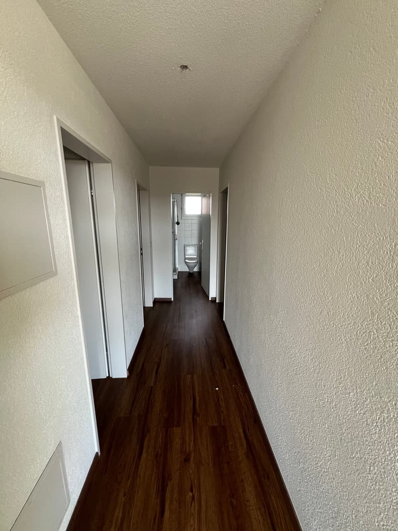 Grosszügige 4.5-Zimmer-Dachwohnung mit Riesenterrasse (10)