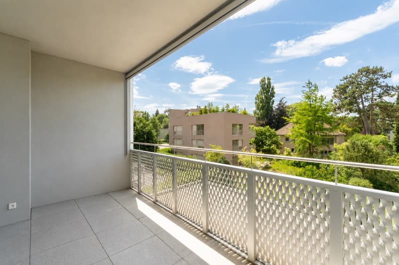 Grosszügige 3.5-Zimmer-Wohnung mit Abendsonnenbalkon, 7 Gehminuten vom Bahnhof Aarau (1)