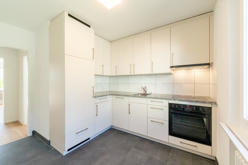 Appartamento di 4 locali luminoso con balcone in zona tranquilla – Beinwil am See (5)