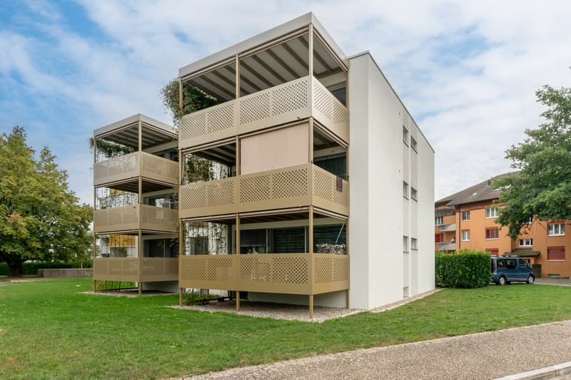 Grosse helle Wohnung an ruhiger Lage (1)