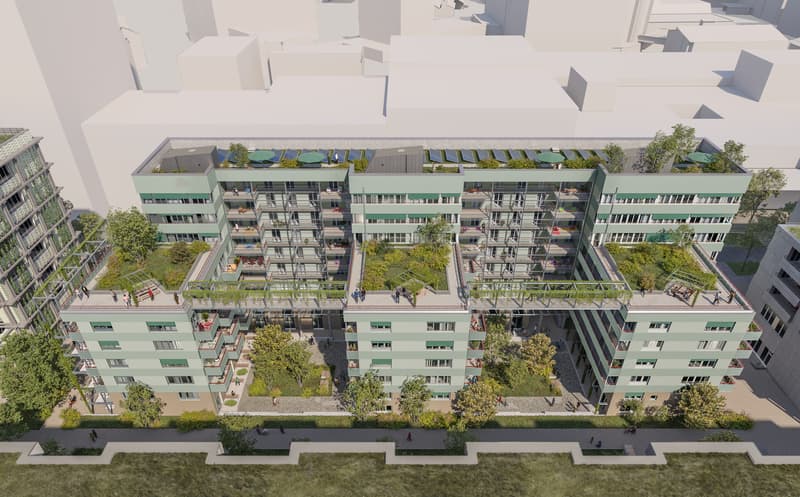 25D94-Baumann-Lukas-Volta-Nord-2-2_TERRACES_250814