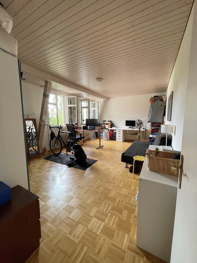 Appartement de 4,5 pièces magnifique (4)