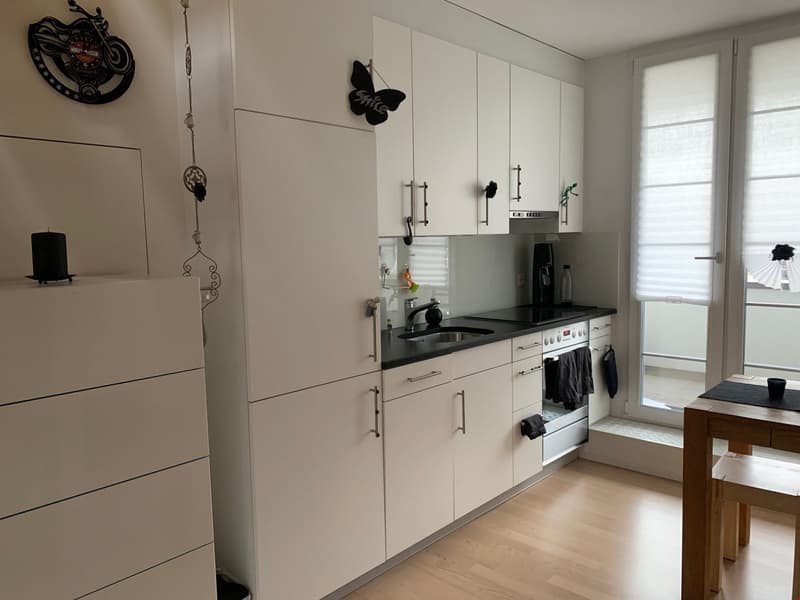 Bell'appartamento di 2 camere mansardato (3)
