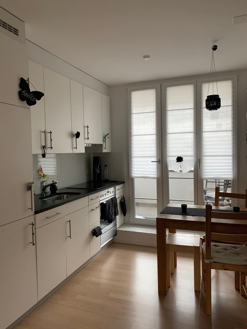 Bell'appartamento di 2 camere mansardato (4)