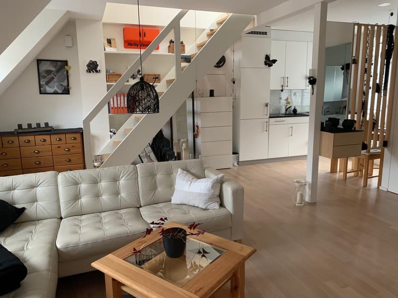 Bell'appartamento di 2 camere mansardato (1)