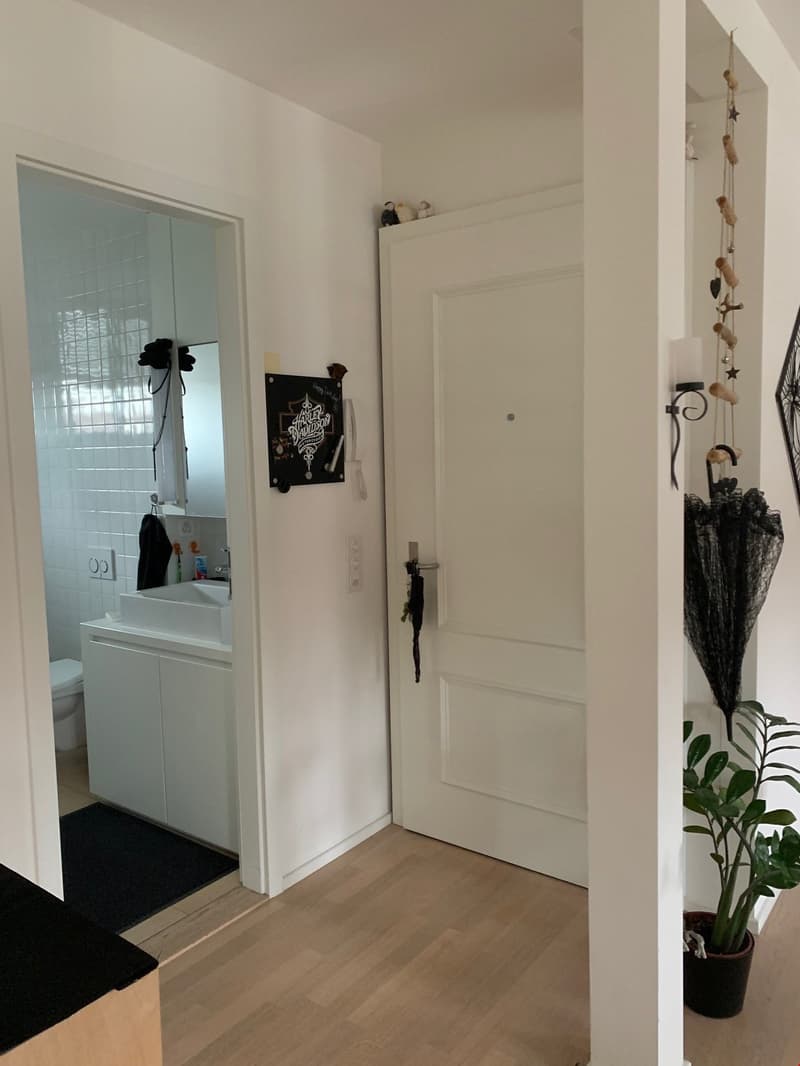 Bell'appartamento di 2 camere mansardato (8)