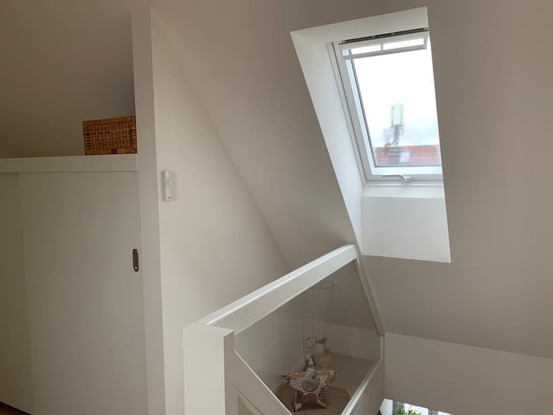 Bell'appartamento di 2 camere mansardato (9)