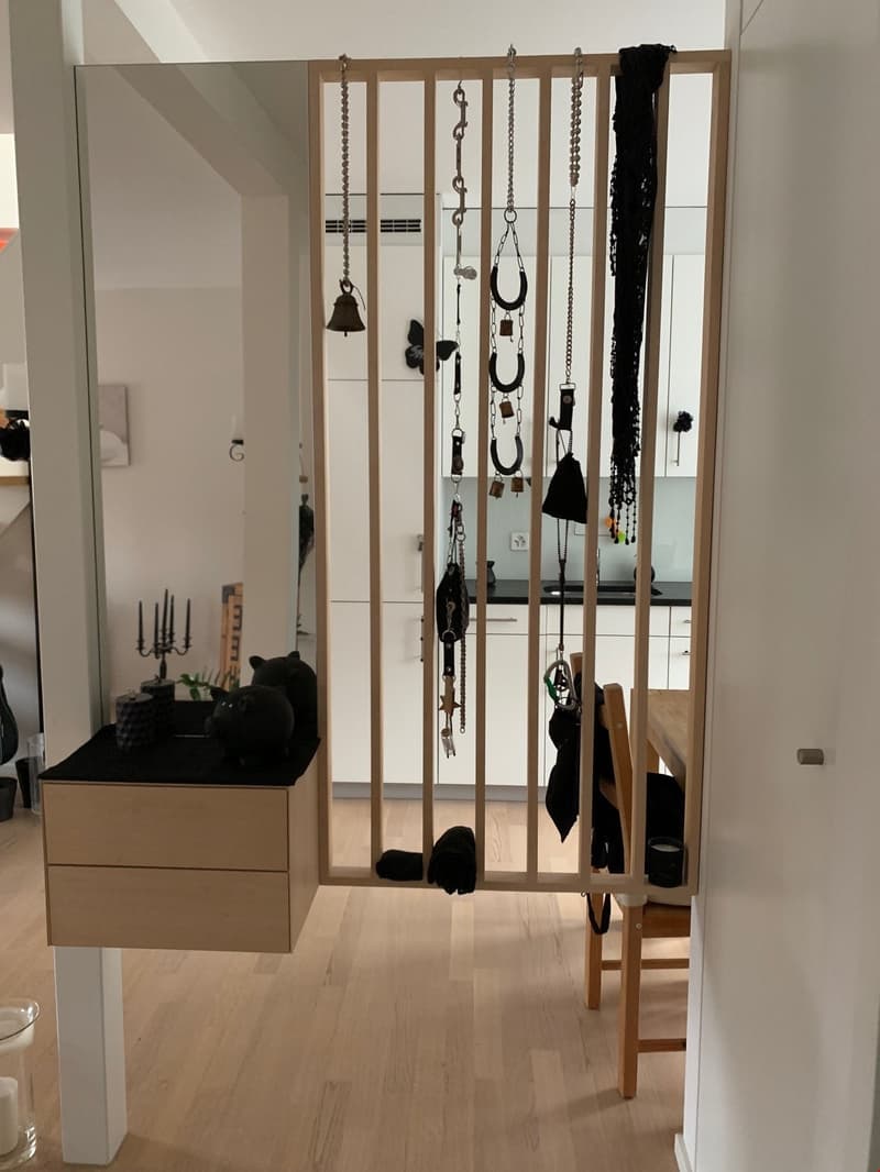 Bell'appartamento di 2 camere mansardato (7)
