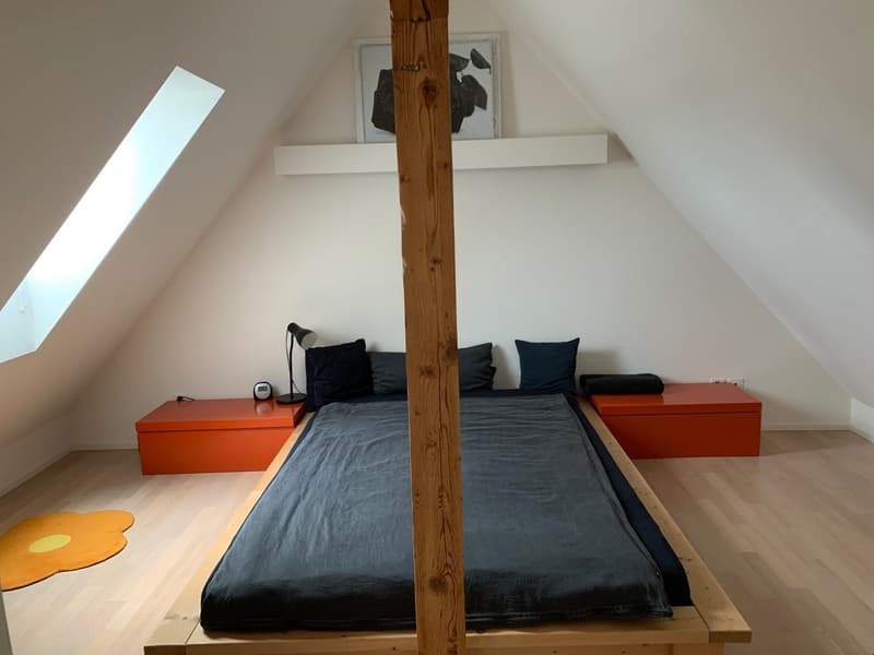 Bell'appartamento di 2 camere mansardato (11)
