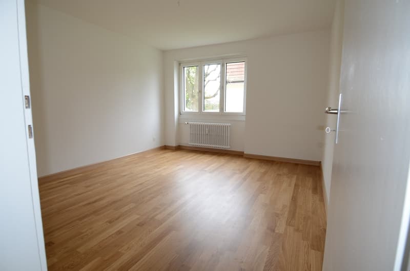 Bright 4-room apartment with new kitchen (3)