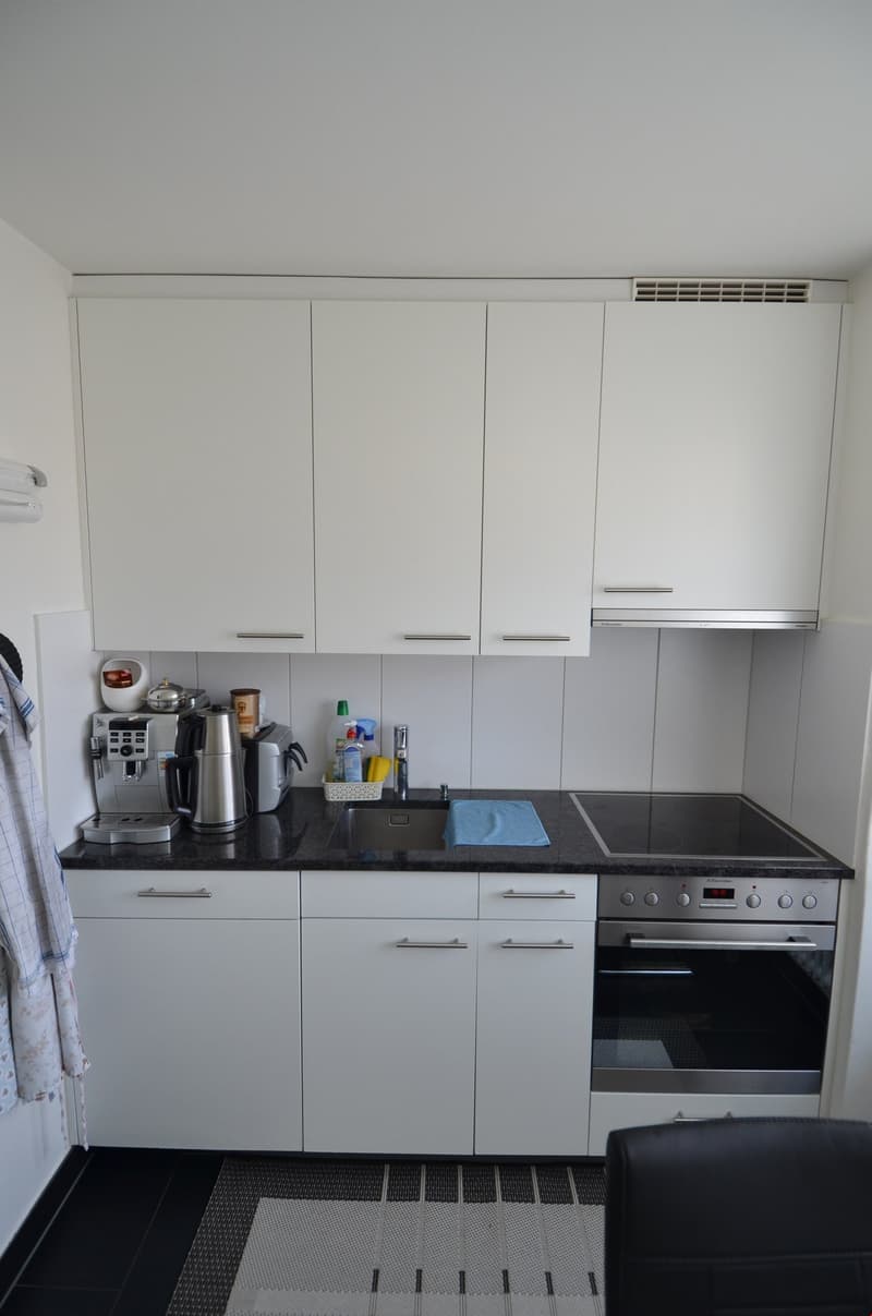 Bright 4-room apartment with new kitchen (5)