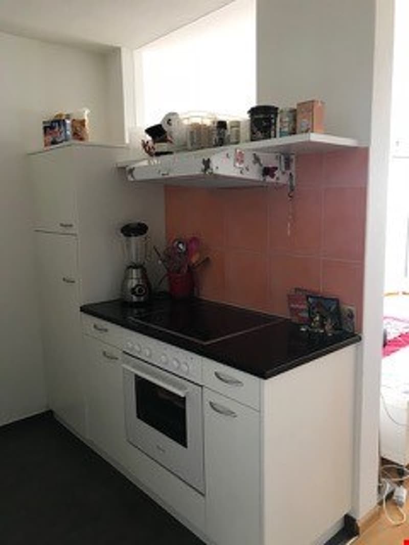 Helle 1-Zimmer-Wohnung mit Weitblick (4)