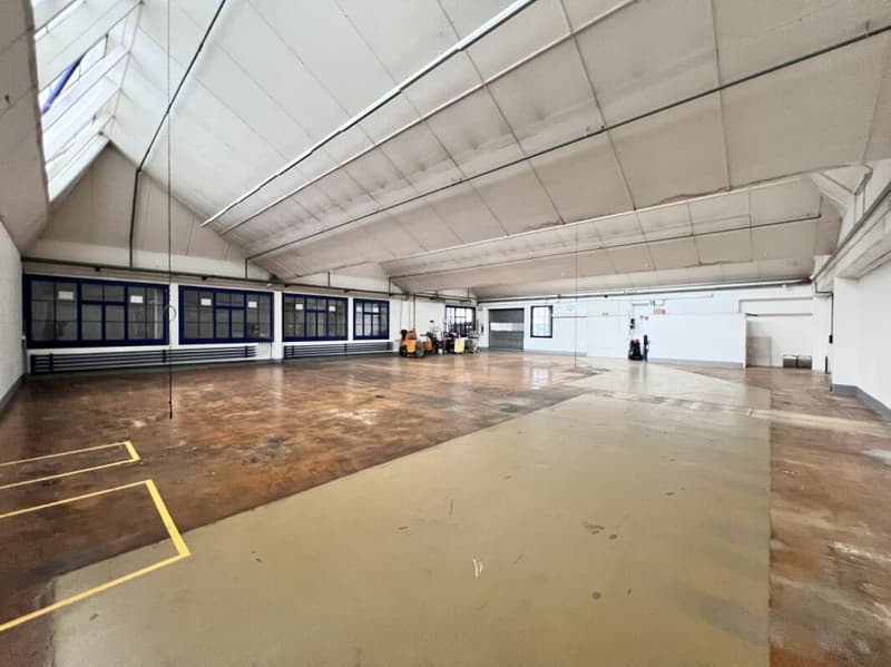 Locaux commerciaux (jusqu'à 780m) dans le parc d'affaires Lantal (4)