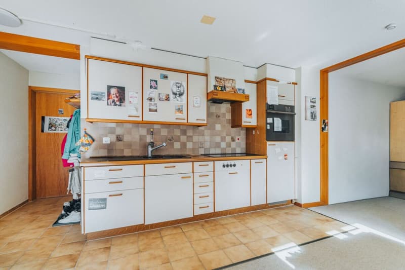 Maison multifamiliale à 3 parties avec de nombreuses pièces annexes + garages (10)